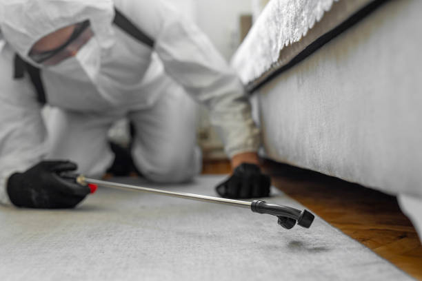 Professional Bed Bug Control technician working in Farmington, IL