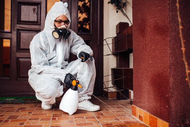 Reliable Bed Bug Control contractor in Farmington, IL by Nex Pest Control