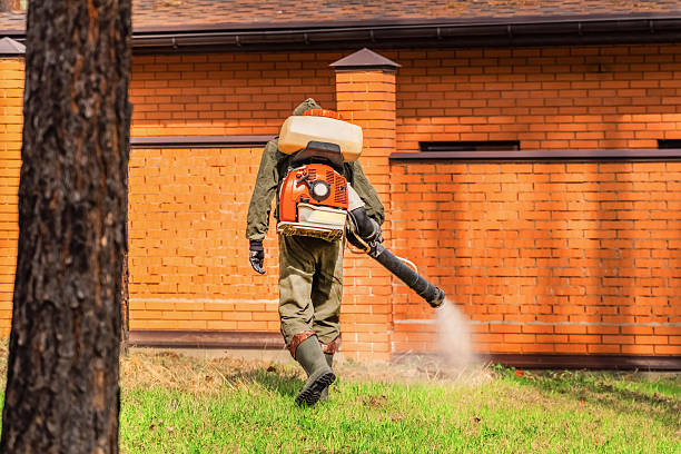 Trusted Rodent Control service in Farmington, IL - Nex Pest Control